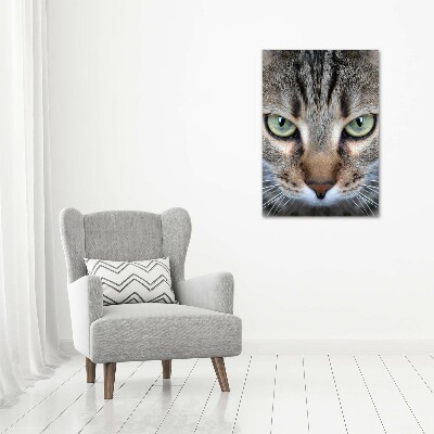 Wall art acrylic Cat's eyes