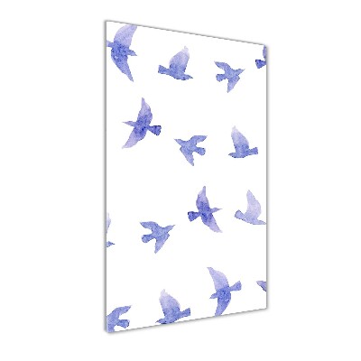 Print on acrylic Blue swallows