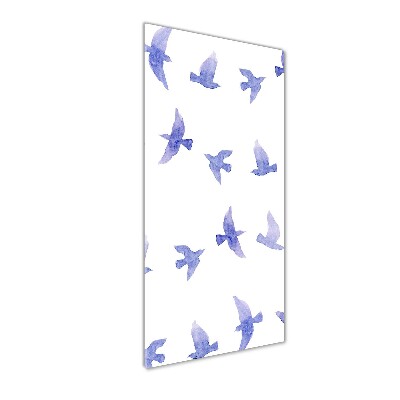 Print on acrylic Blue swallows