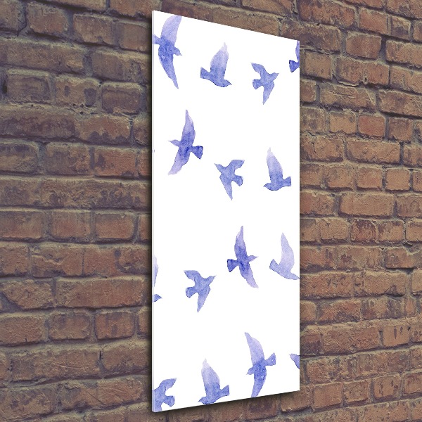 Print on acrylic Blue swallows