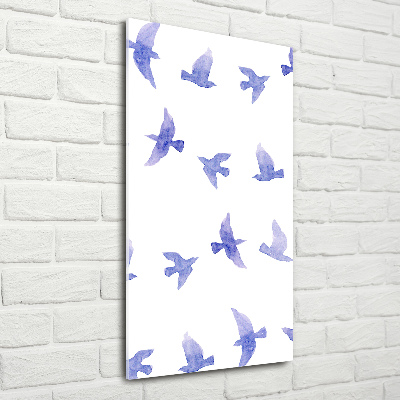 Print on acrylic Blue swallows