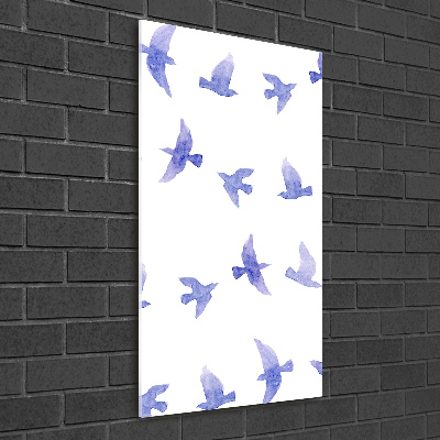 Print on acrylic Blue swallows