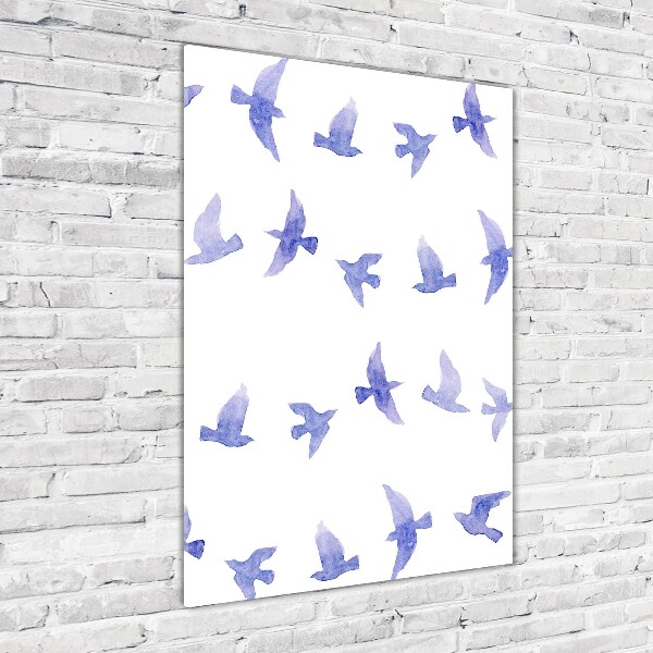 Print on acrylic Blue swallows