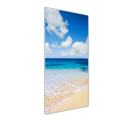 Print on acrylic glass Tropical beach