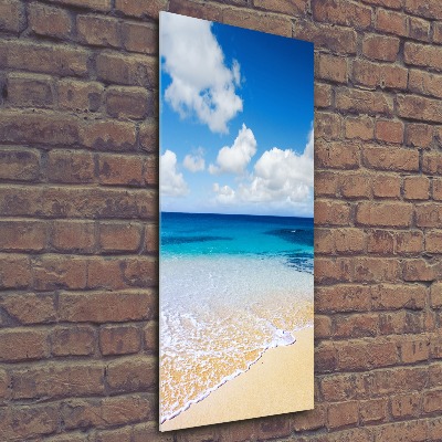 Print on acrylic glass Tropical beach