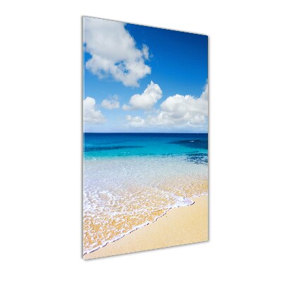 Print on acrylic glass Tropical beach