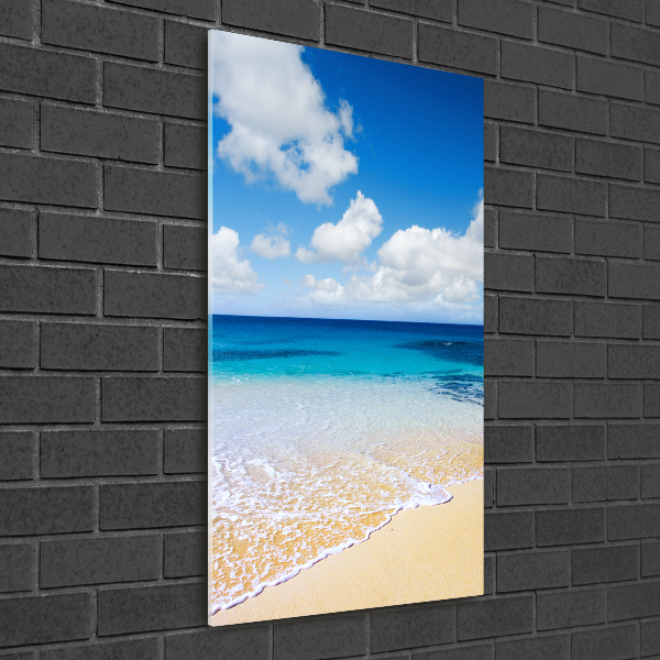 Print on acrylic glass Tropical beach