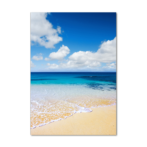 Print on acrylic glass Tropical beach