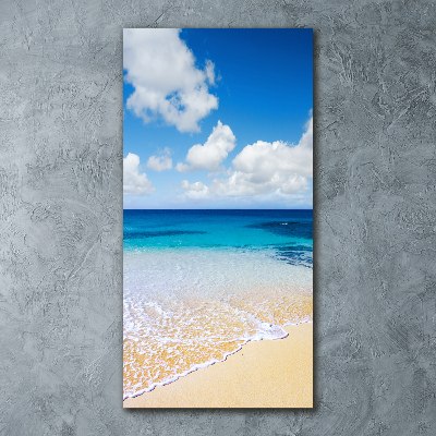 Print on acrylic glass Tropical beach