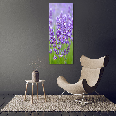 Acrylic glass print Lavender field