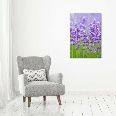 Acrylic glass print Lavender field