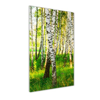 Print on acrylic glass Birch forest