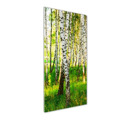 Print on acrylic glass Birch forest