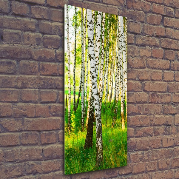 Print on acrylic glass Birch forest