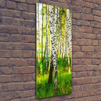 Print on acrylic glass Birch forest