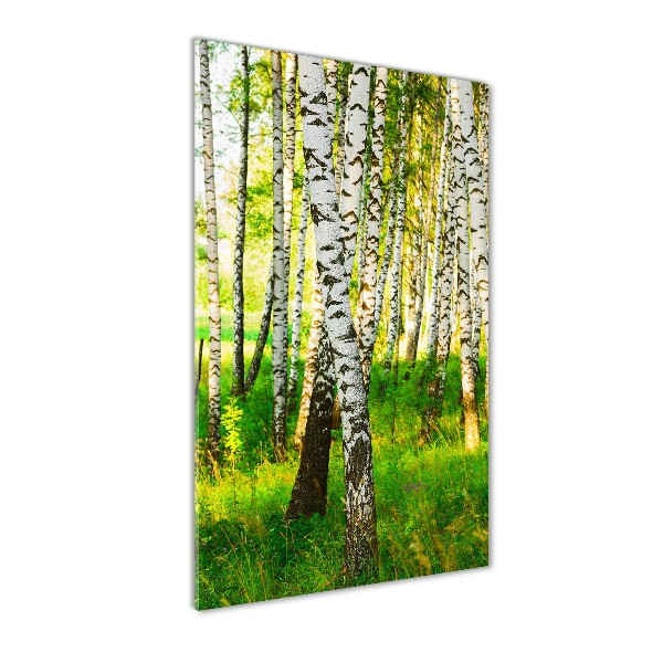 Print on acrylic glass Birch forest