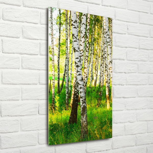 Print on acrylic glass Birch forest