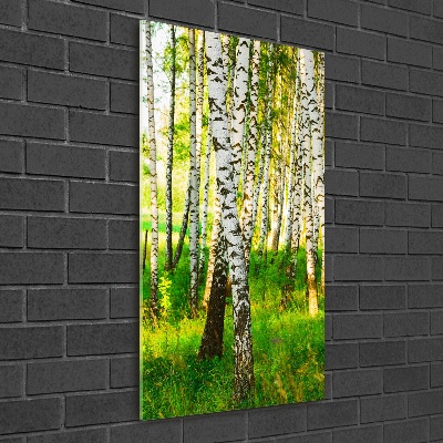 Print on acrylic glass Birch forest