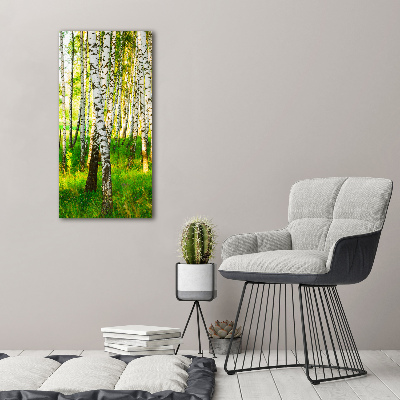 Print on acrylic glass Birch forest