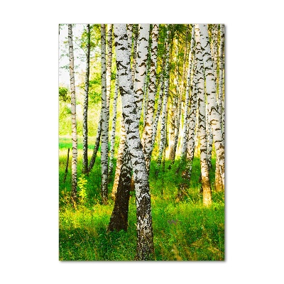 Print on acrylic glass Birch forest