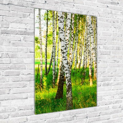 Print on acrylic glass Birch forest