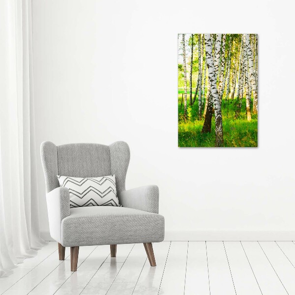 Print on acrylic glass Birch forest