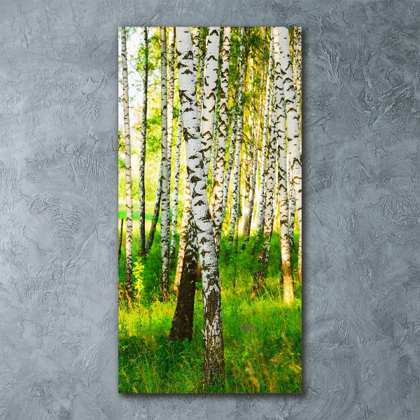 Print on acrylic glass Birch forest