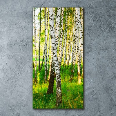 Print on acrylic glass Birch forest