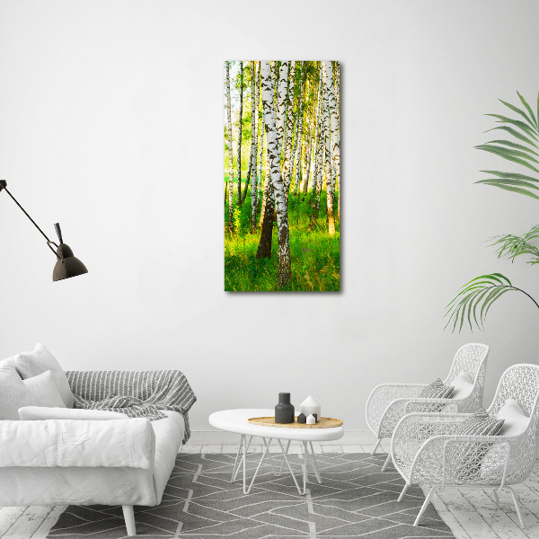 Print on acrylic glass Birch forest