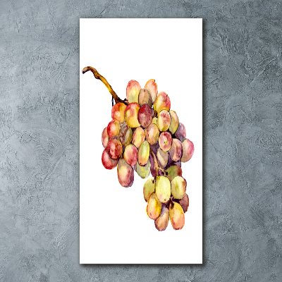 Acrylic print Grapes