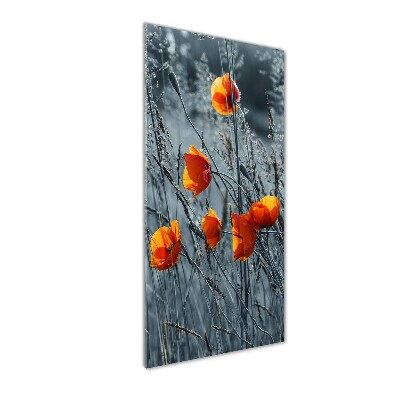 Print on acrylic Field poppies