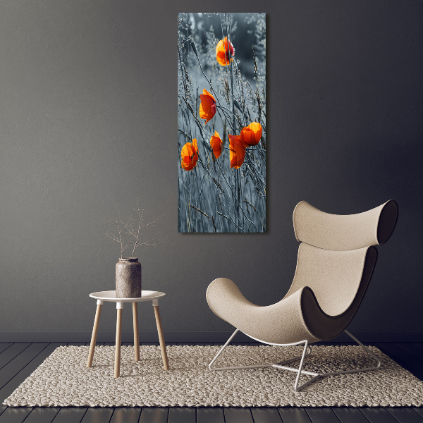 Print on acrylic Field poppies