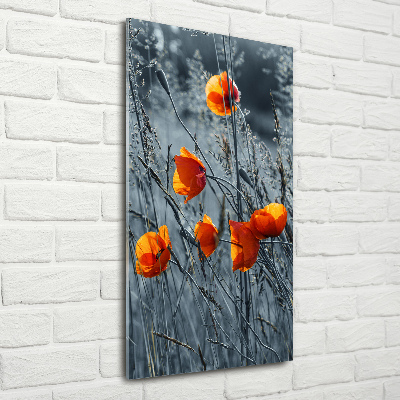 Print on acrylic Field poppies