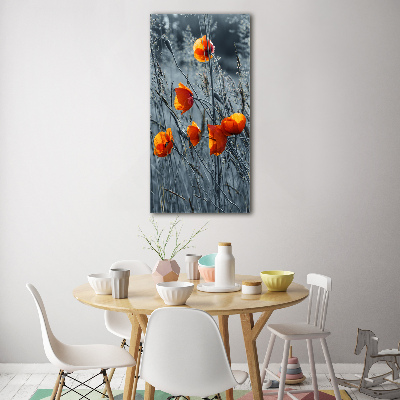 Print on acrylic Field poppies