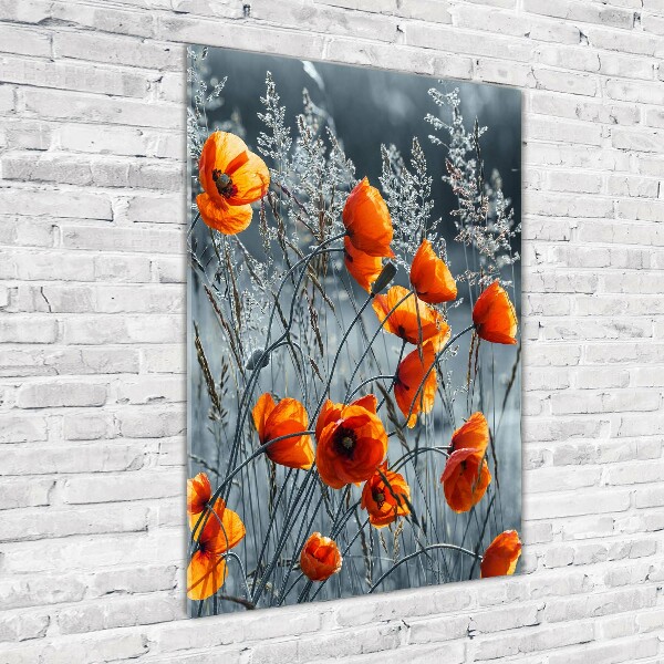 Print on acrylic Field poppies