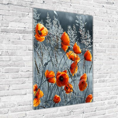 Print on acrylic Field poppies