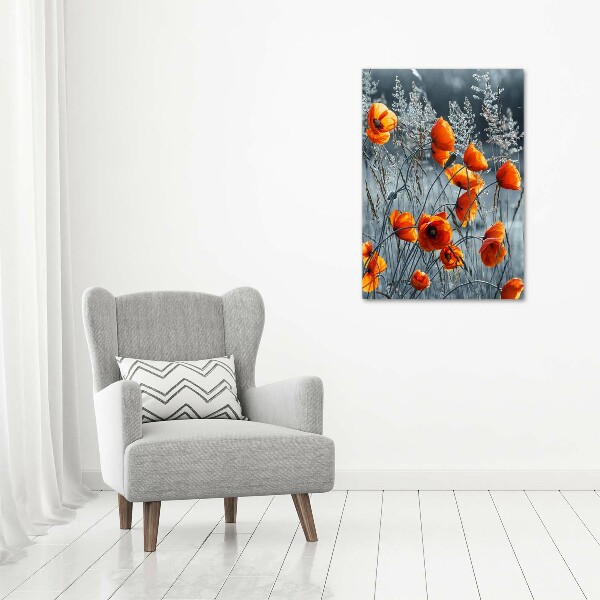 Print on acrylic Field poppies