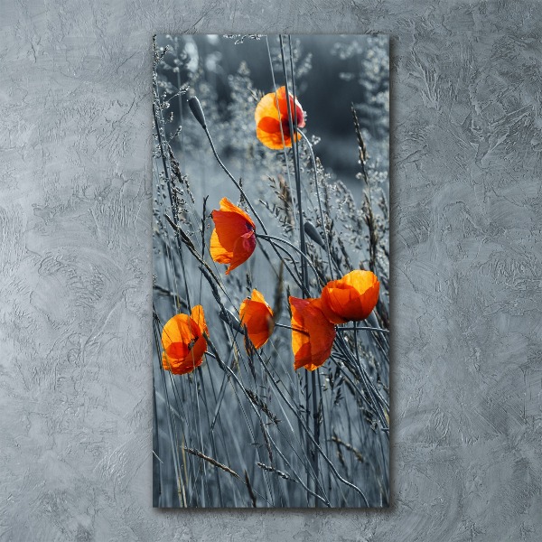 Print on acrylic Field poppies