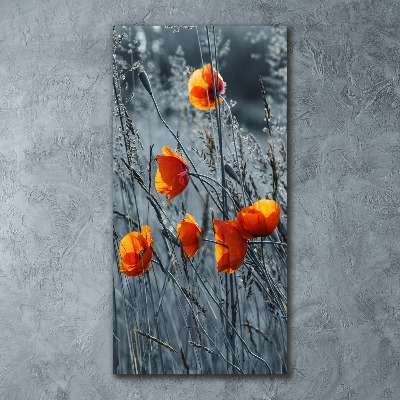 Print on acrylic Field poppies