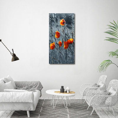 Print on acrylic Field poppies