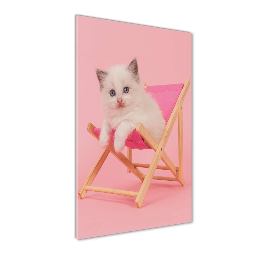 Acrylic wall art Cat on a sun lounger