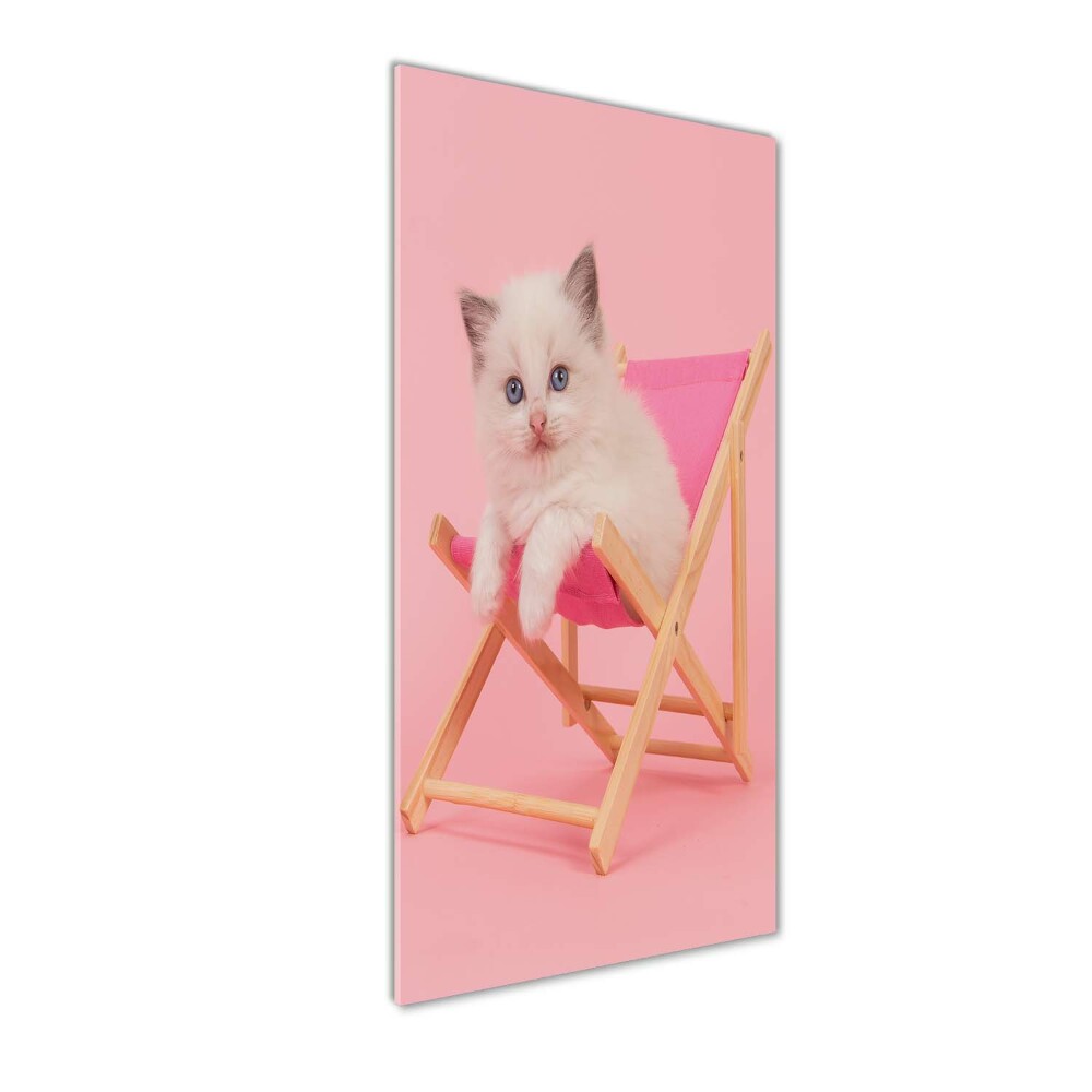 Acrylic wall art Cat on a sun lounger