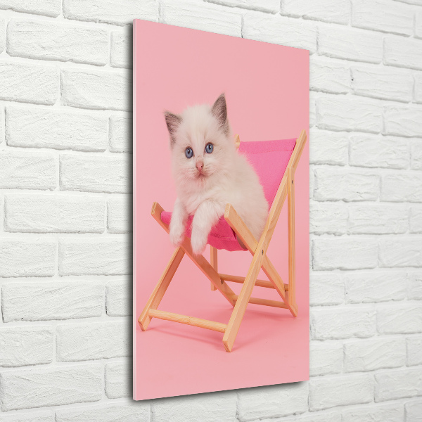 Acrylic wall art Cat on a sun lounger