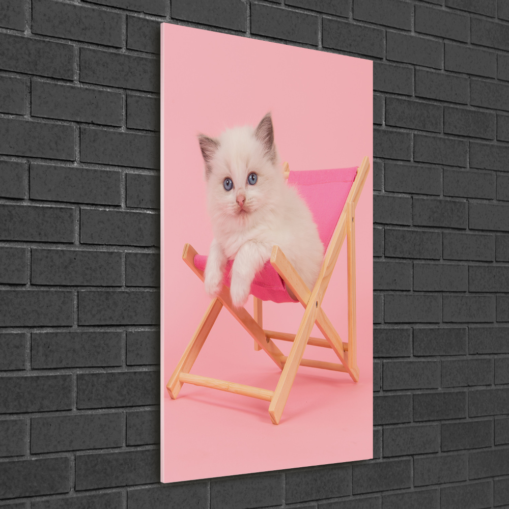 Acrylic wall art Cat on a sun lounger