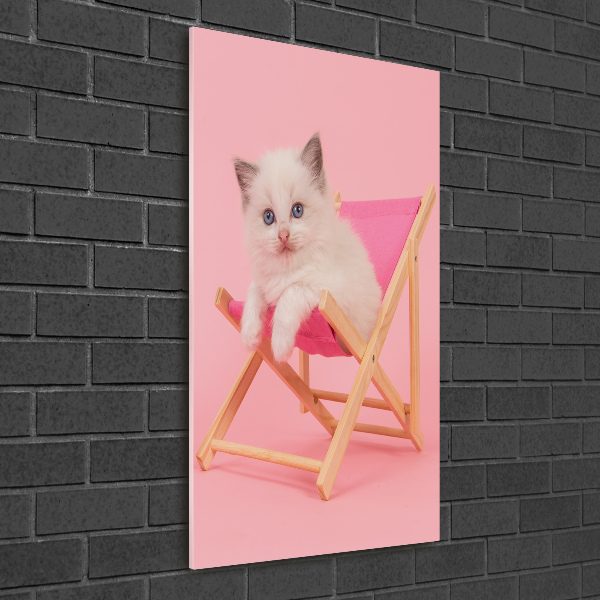 Acrylic wall art Cat on a sun lounger