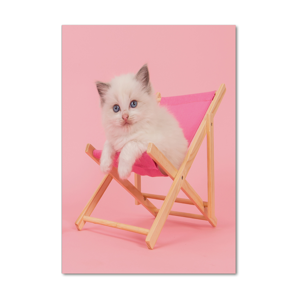 Acrylic wall art Cat on a sun lounger