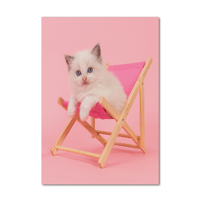 Acrylic wall art Cat on a sun lounger