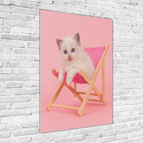 Acrylic wall art Cat on a sun lounger