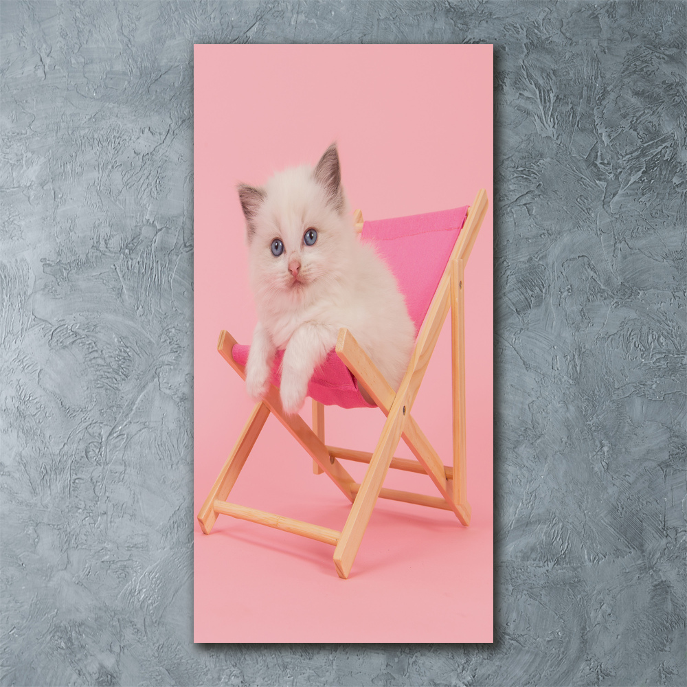 Acrylic wall art Cat on a sun lounger