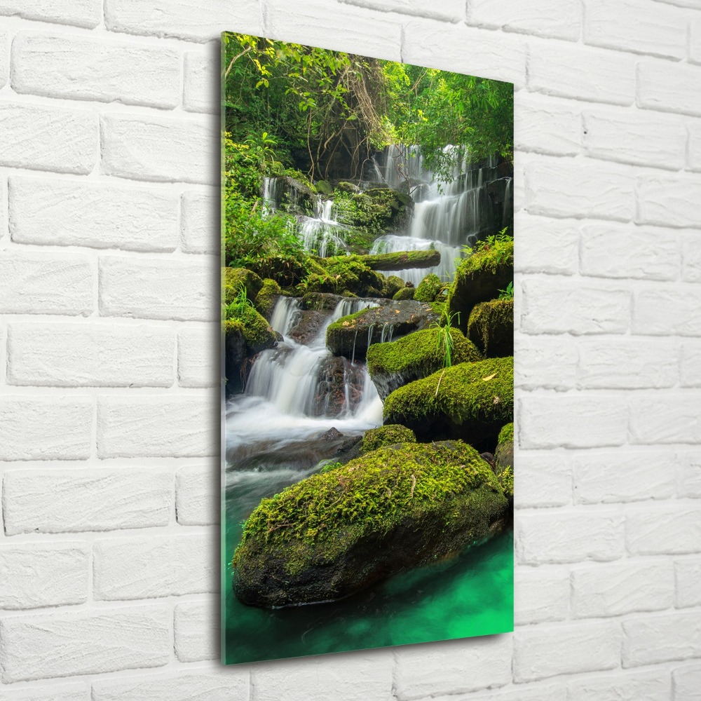 Print on acrylic glass Waterfall in the jungle